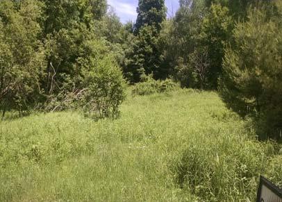 6 Acres $22,400 #5-S240200 Peckham Road 5.3 Acres $21,200 #6-S240201 Peckham Road 5.1 Acres $20,400 #9-S240209 Number Four Rd 5.