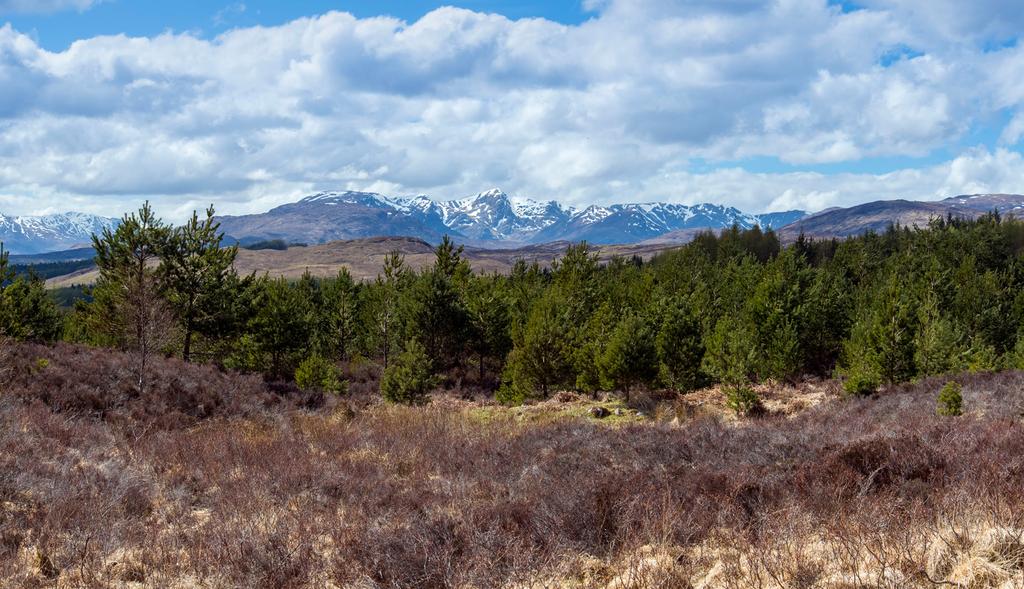 Stunning Views From The Private Road Leading To The Property Glenmoriston, Inverness Moriston View Hill House is located in an elevated position in the hamlet of Dalchreichart and enjoys an idyllic