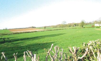 farmland, is this segment of land. Plot 2 is a level piece and abuts the rear hedgerow which continues down and along onto Leys Lane.