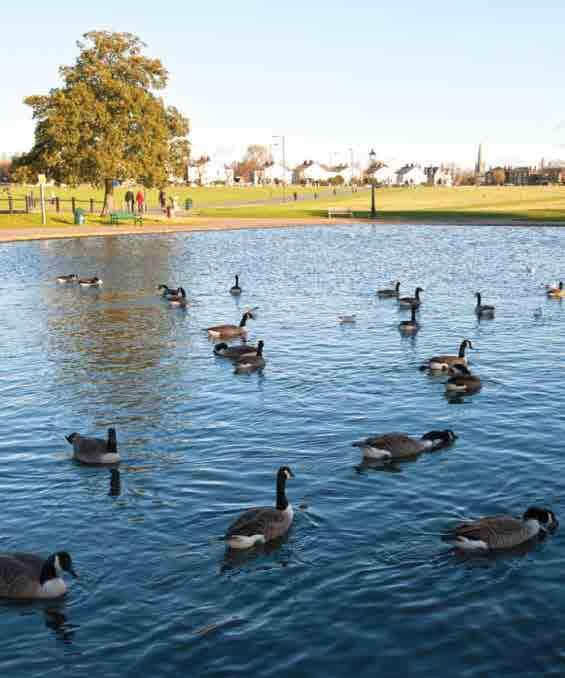 Blackheath has over 110 acres of protected common and is renowned for kite flying and its