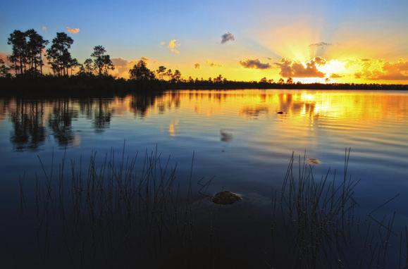 Natural Beauty Whether you want to simply enjoy spectacular views across the Everglades National Park and