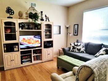 Fully furnished and equipped 2 BR, 2 BA. Sleeps up to 7 with pull-out sofa and loveseat. Walk-in closet.