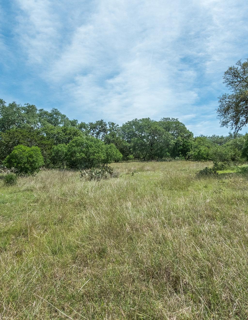 Oak HAven Ranch Located 15 miles north of Hondo and less than an hour from San Antonio. A custom 2,614± sq ft white rock home with two master suites has an open floor plan and loft.