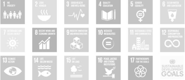 The NUA takes into account the 2030 Agenda for Sustainable Development