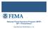 National Flood Insurance Program (NFIP) MT-1 Presentation. David Mummert, Michael Baker Jr., Inc.