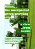 Milan, the unexpected green-growing city. a view from inside