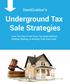 Underground Tax Sale Strategies
