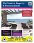 The Tenerife Property & Business Guide June