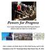 Powers for Progress. West Virginia Municipal Home Rule Pilot Program Phase II