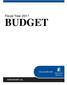 Fiscal Year 2017 BUDGET