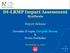 DI-LRMP Impact Assessment Synthesis