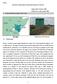 Kenya Tana River Basin Road Construction Projects (I) and (II)