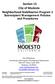 Section 13 City of Modesto Neighborhood Stabilization Program 3 Subrecipient Management Policies and Procedures