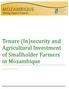 Tenure (In)security and Agricultural Investment of Smallholder Farmers in Mozambique