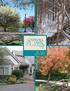 SPRINGMILL LAKES AT TAMARACK TABLE OF CONTENTS