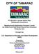 CITY OF TAMARAC. FY 2010/2011 Annual Action Plan Substantial Amendment