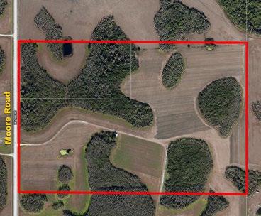Parcel 1 - South Acreage: 107 +/- acres Includes 10-acre homesite in addition to an existing home Sale Price: $1,200,000 Road Frontage: 1,750 +/-FT on Moore Rd.