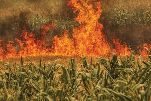 Hoe produsente meer kan leer oor brande With the dry autumn and wintertime approaching farmers need to be more alert to veldfires.