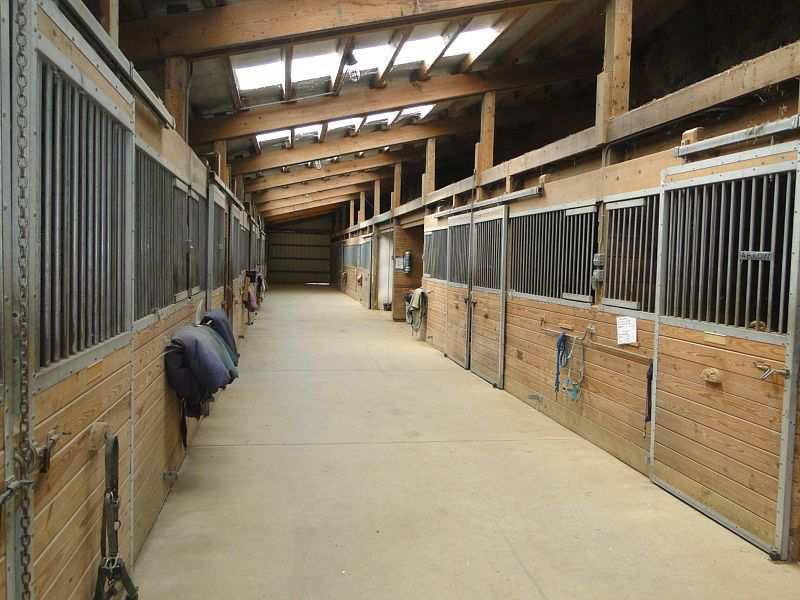 each side of the arena), upper loft hay storage, 2 double size