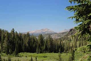 42 Acres APN: 006-010-031 County: Alpine INVESTMENT HIGHLIGHTS: Six (6) tentative