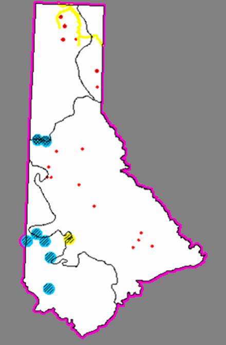 Element Maps Prioritized Species A Stonefly (Capnia zukeli) Burbot (Lota lota) Mission Ck Oregonian (Crpytomastix magnidentata) White-winged Crossbill (Loxia leucoptera) An