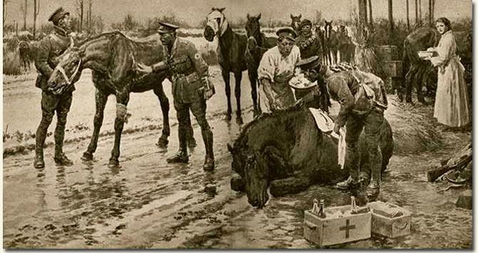 Claremen in the Army Veterinary Corps When the British Expeditionary Force (BEF) embarked for France in August 1914, its strength included 122 commissioned A.V.C. officers and 797 other ranks.