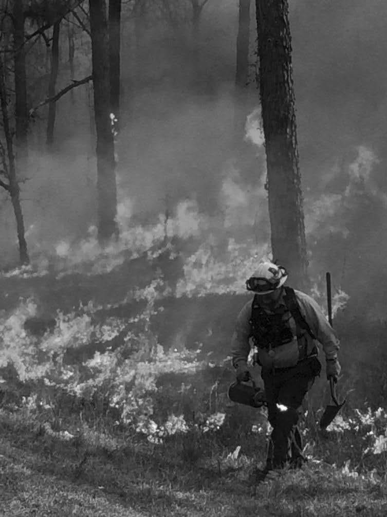 habitat. WLFW eligible conservation practices include prescribed burning, longleaf pine establishment, forest stand improvement (thinning), brush management and others.
