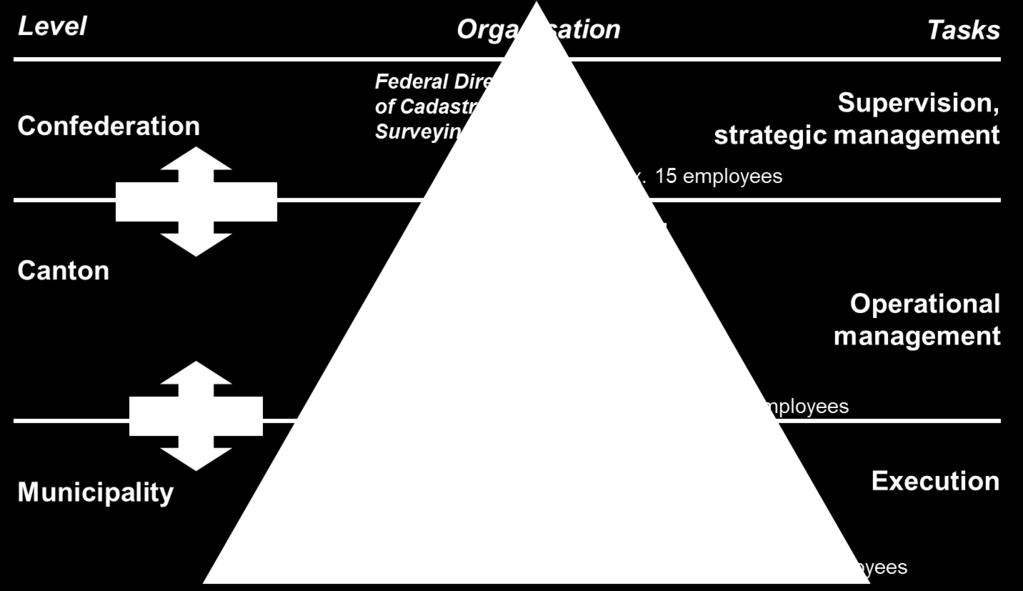 Organization of