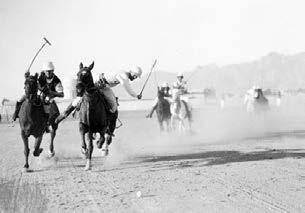 During the 1920s and 30s the sport that first brought the University of Arizona national recognition was polo.