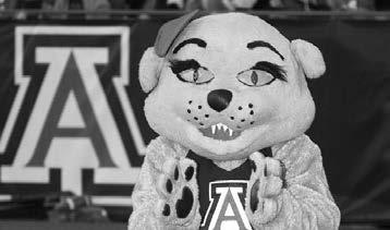 Wilma Wildcat was created when costume designers were attempting to make another costume for Wilbur and instead created Wilma.