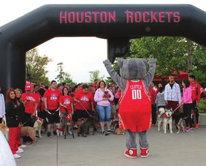 Dogs ranging from Chihuahuas to Great Danes sported red bandanas handed out by the Rockets. Dogs and owners enjoy a fun trek in the Park.