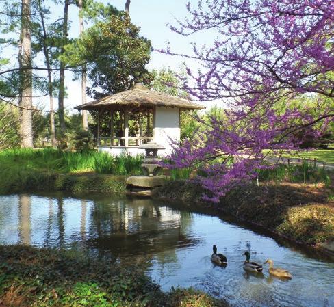 While the garden has always been a beloved and popular destination in Hermann Park, improvements are planned to make it more accessible and add more authentic Japanese-style garden features.