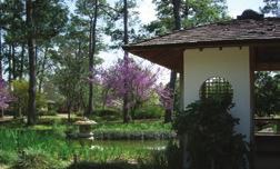 In addition, the City of Houston has committed over $800,000 to infrastructure projects. In the early 1990s, the non-profit Japanese Garden, Inc., raised approximately $1.