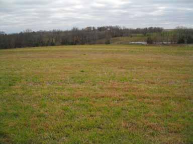 This original 85 acre parcel was divided to offer more buyers the opportunity to own Lafayette County Farm Ground but you can