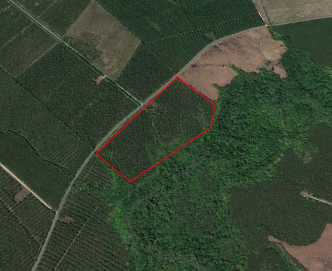 13 01 q q Coordinates: 36.0625 N 76.9205 W Hoggard Mill Creek - Aerial Map Parcel # 37015Hb006 Bertie County, NC - approx.