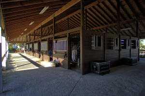 This facility is turnkey with everything in place for your horses.