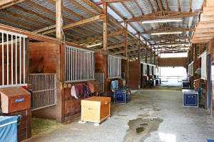 sand ring, vet clinic boasts full surgery and 2 stalls.