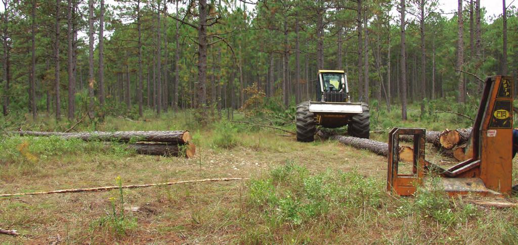 The thinning of timber can generate additional income and improve habitat for a diversity of wildlife.