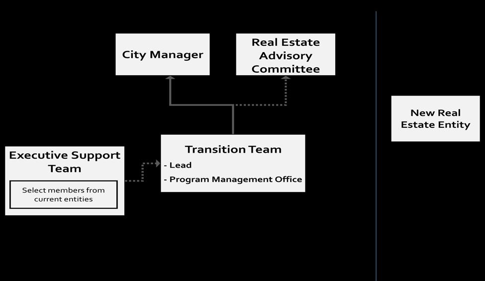 Figure 6: New Real Estate Entity Transition Structure The above proposed transitional state is comprised of the following key roles: The appointment of a Transition Team including a lead and a