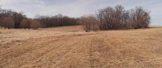 79 Acres M/L, Currently in Grass Farm Location: ½ Mile North of New Franklin, MO on HWY 5, West 1¾ mile on Co Rd. 336, then ½ Mile South on Co.