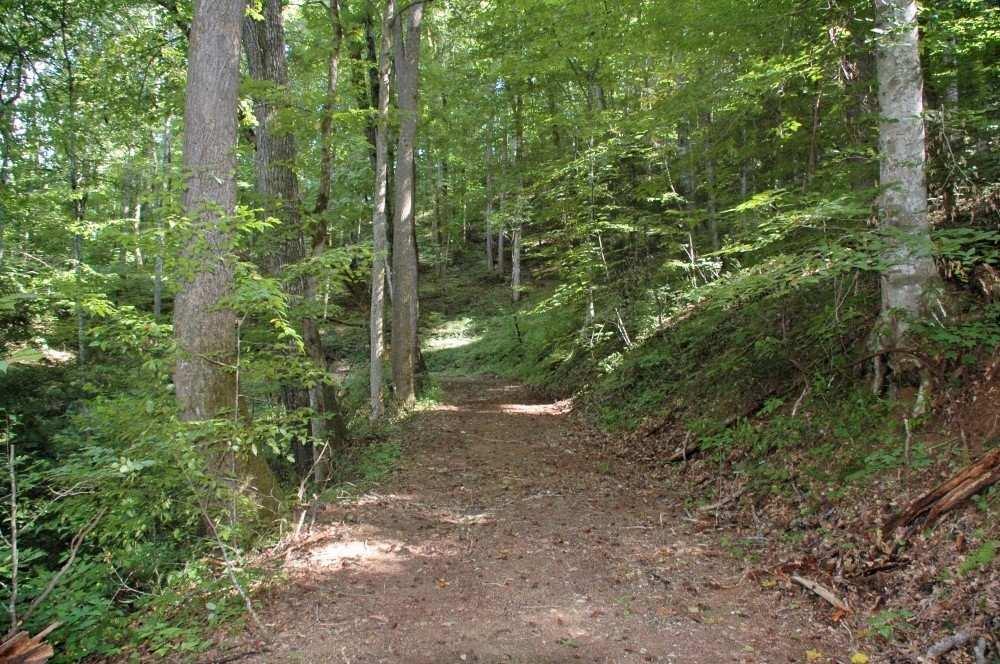 OVERVIEW: This is an incredibly rare opportunity to own over 30 acres that adjoin the Great Smoky Mountain National Park!