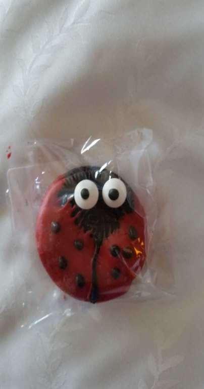 This is a handmade Ladybug Cookie