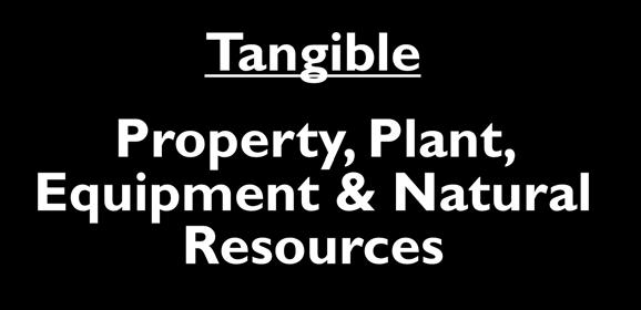 Section 8 - Property, Plant, Equipment (Fixed Assets), and Depletable Resources Types of Assets Long-lived,