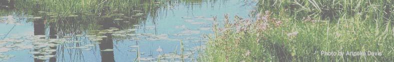Clean Water Act Section 404 Wetlands Mitigation: An Introduction and