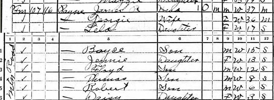 1920 U.S. Census, Crowder s Mountain, Gaston County, North Carolina When and where were Georgie and James likely married? 10 Jul 1880 : birth, NC?