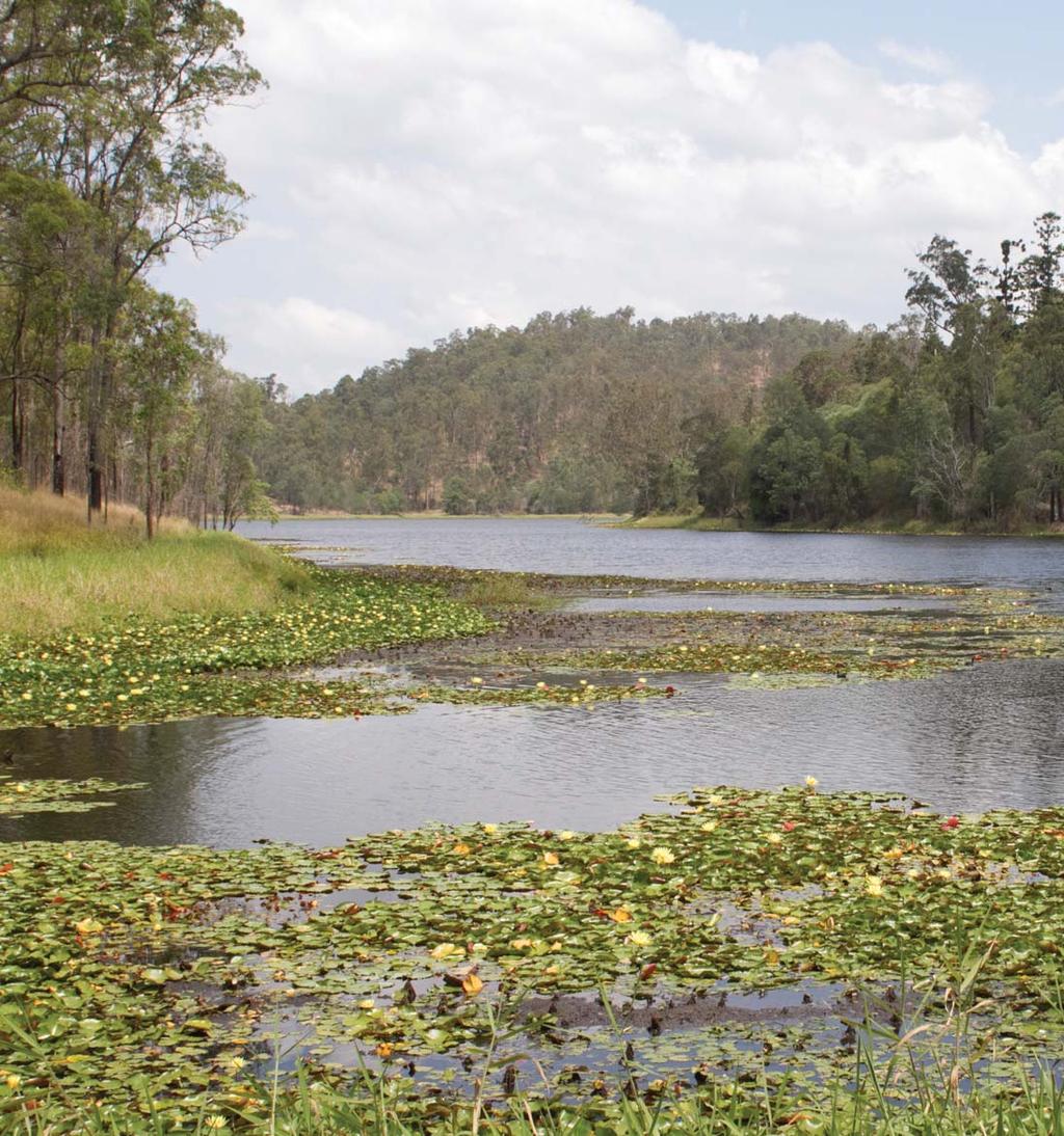About Enoggera Reservoir OUR VISION To manage access to recreation opportunities while protecting natural resources and water quality.