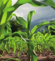 Bykans 900 navorsings- en ontwikkelingsproewe ISO akkreditasie Villa Crop Protection het in n nuwe vennootskap met Land O Lakes, Inc., n Fortune 250 maatskappy van die VSA getree.