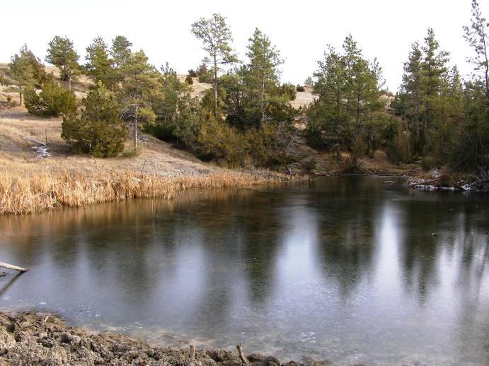 There are two reservoirs on the property, one stocked with Trout and Large Mouth Bass.