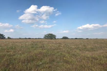 : 106547 Status: Active PRICED REDUCED ON 1-24-18 TO $265,000 AT $7,200. PER ACRE --- RECENT APPRAISAL ON 12-28-17 @$265,000 AVAILABLE UPON REQUEST--- This 36.