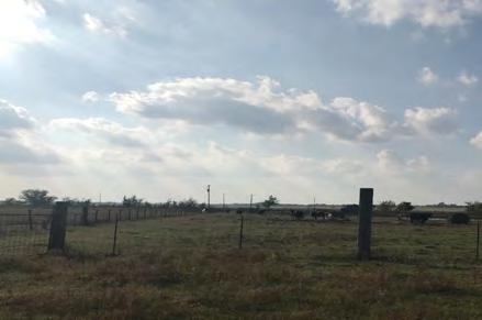Tucked away just off Highway 159 east, this property offers about 33 acres of open pasture with another 3 acres consisting of small barns, pens, 1990 mobile home of nominal value
